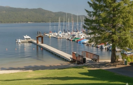 McCall