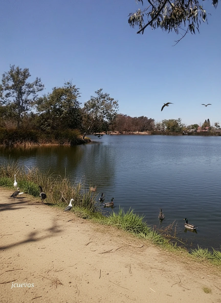 3rd Neighborhood in Huntington Beach, California