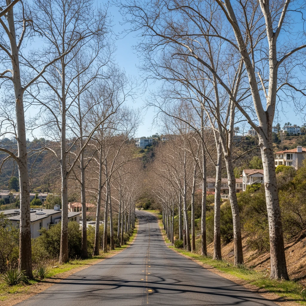 1st Neighborhood in Los Angeles, California