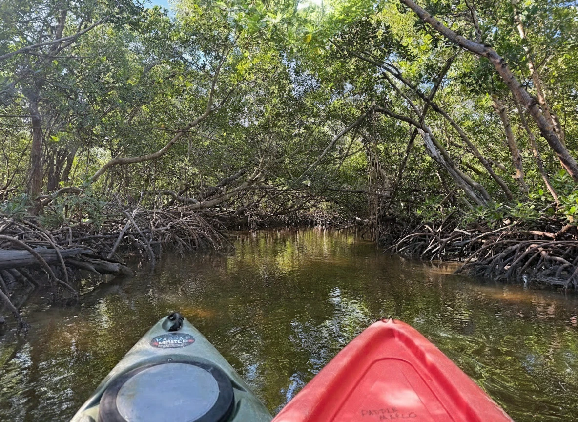 5th Neighborhood in Bonita Springs, Florida