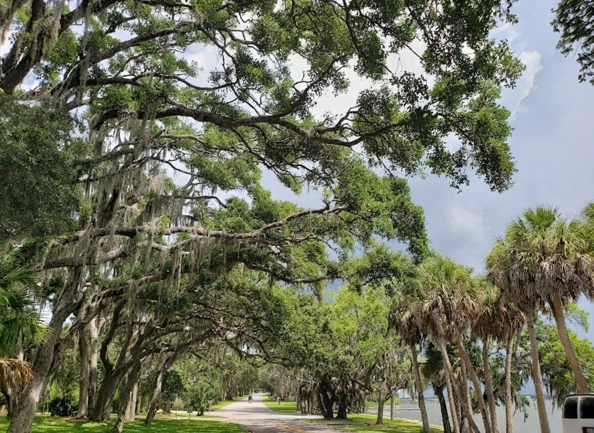 4th Neighborhood in Clearwater, Florida