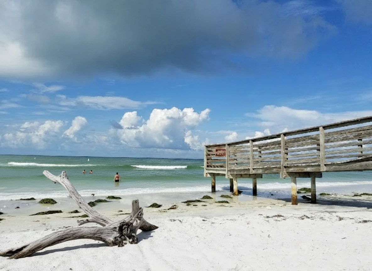 5th Neighborhood in Dunedin, Florida