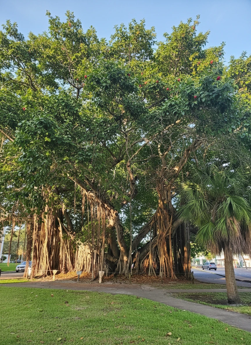 2nd Neighborhood in St Petersburg, Florida