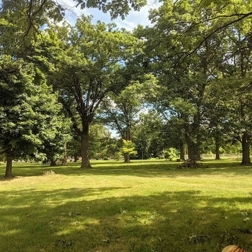 1st Neighborhood in Detroit, Michigan