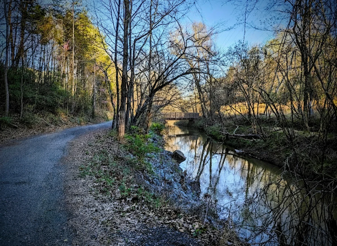 1st Neighborhood in Charlotte, North Carolina