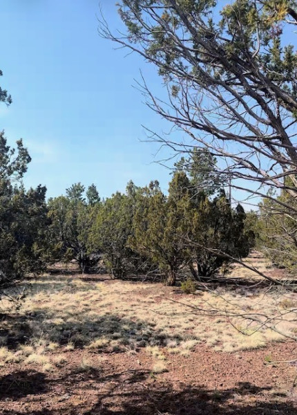 Photo 2 of Land for sale at 1462 E Barbara Rd, Williams, AZ 86046 | MLS# 206011 | Listing updated on 2026-09-22