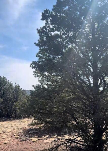 Photo 3 of Land for sale at 1462 E Barbara Rd, Williams, AZ 86046 | MLS# 206011 | Listing updated on 2026-09-22